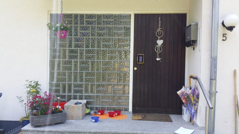 Haustür mit Glasbausteine vorher